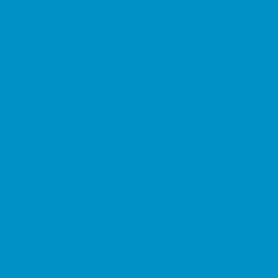 Oracal 651 Adhesive Vinyl - Gloss (Permanent)