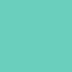 Oracal 651 Adhesive Vinyl - Gloss (Permanent)