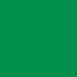 Oracal 651 Adhesive Vinyl - Gloss (Permanent)