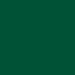 Oracal 651 Adhesive Vinyl - Gloss (Permanent)