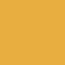 Oracal 651 Adhesive Vinyl - Gloss (Permanent)