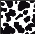 Printed Gloss Adhesive Vinyl - ANIMAL