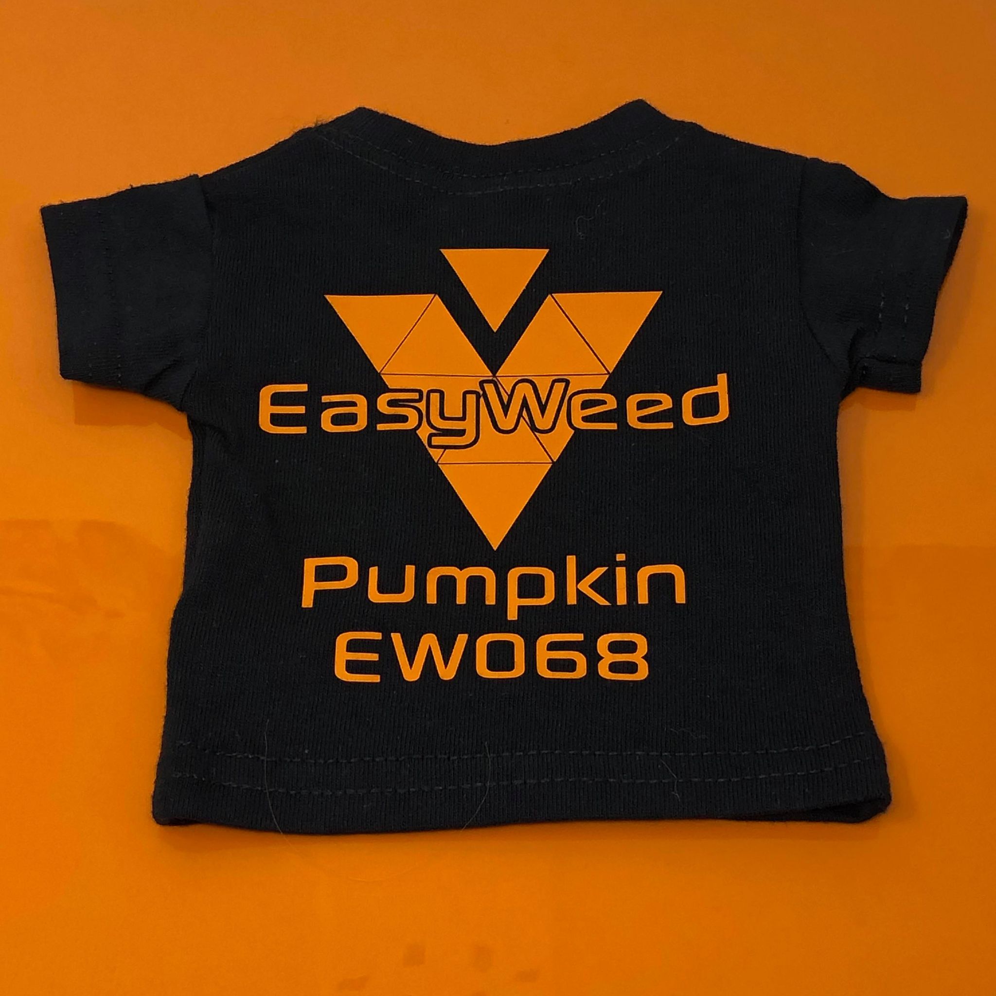 Siser EasyWeed (Regular HTV)