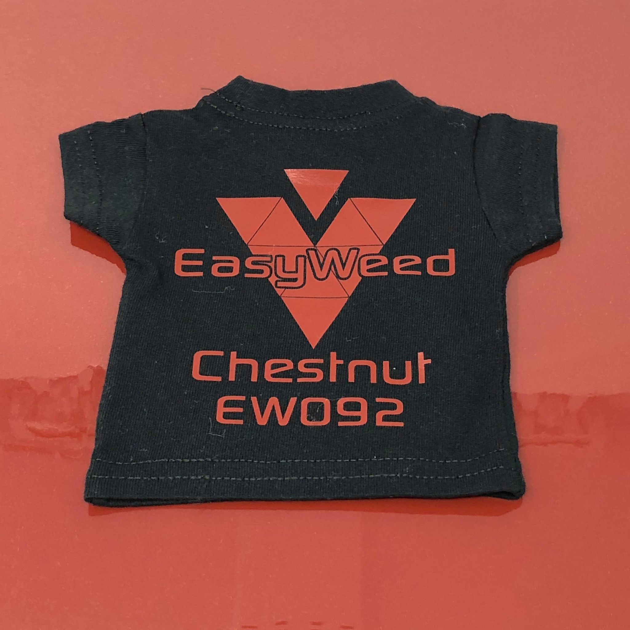 Siser EasyWeed (Regular HTV)