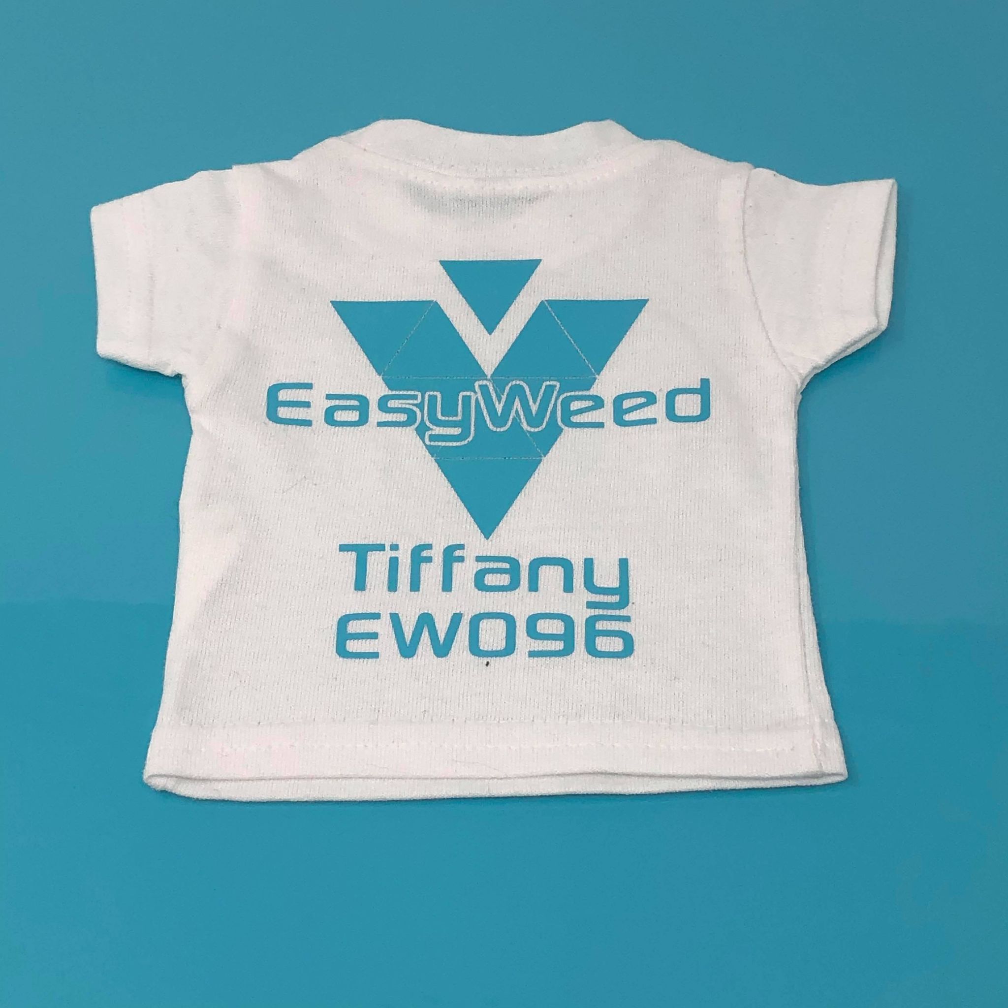 Siser EasyWeed (Regular HTV)
