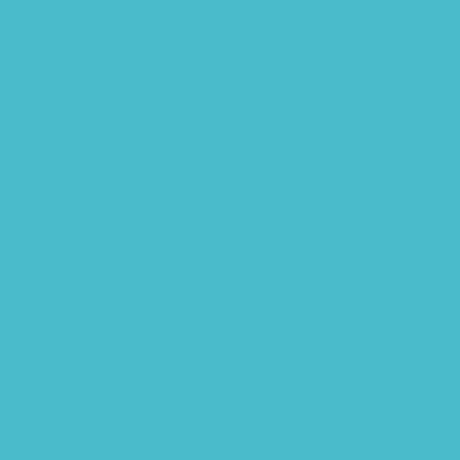 Siser EasyWeed EcoStretch (Stretchy Matte HTV)