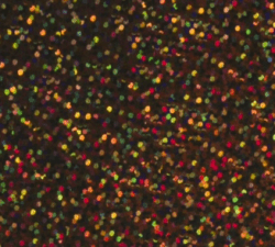 Siser Holographic (Pearlescent/Rhinestone HTV)
