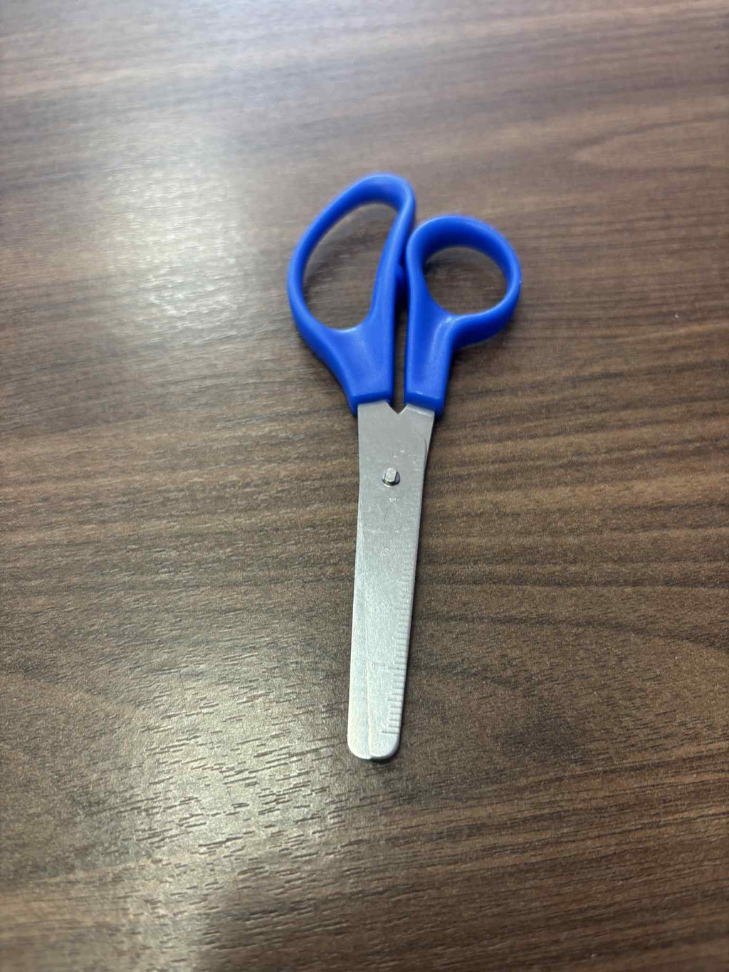 Kids Scissors - Assorted Colors