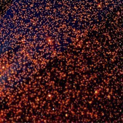 X976 Sinister Orange Glitter 851 Roll