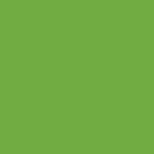 3063 Lime-Tree Green 631 Sheet