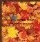 LEAFAU Autumn Leaves Orajet Gloss Sheet