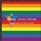 PRDEST Pride Stripes Siser HTV Sheet