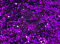 Purple Stuff - Chunky Color Shift Glitter
